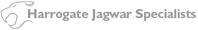 Harrogate Jagwar Specialists